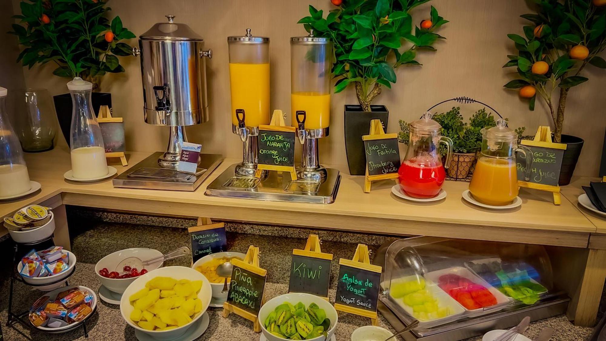 Panamericana Hotel Providencia サンティアゴ エクステリア 写真